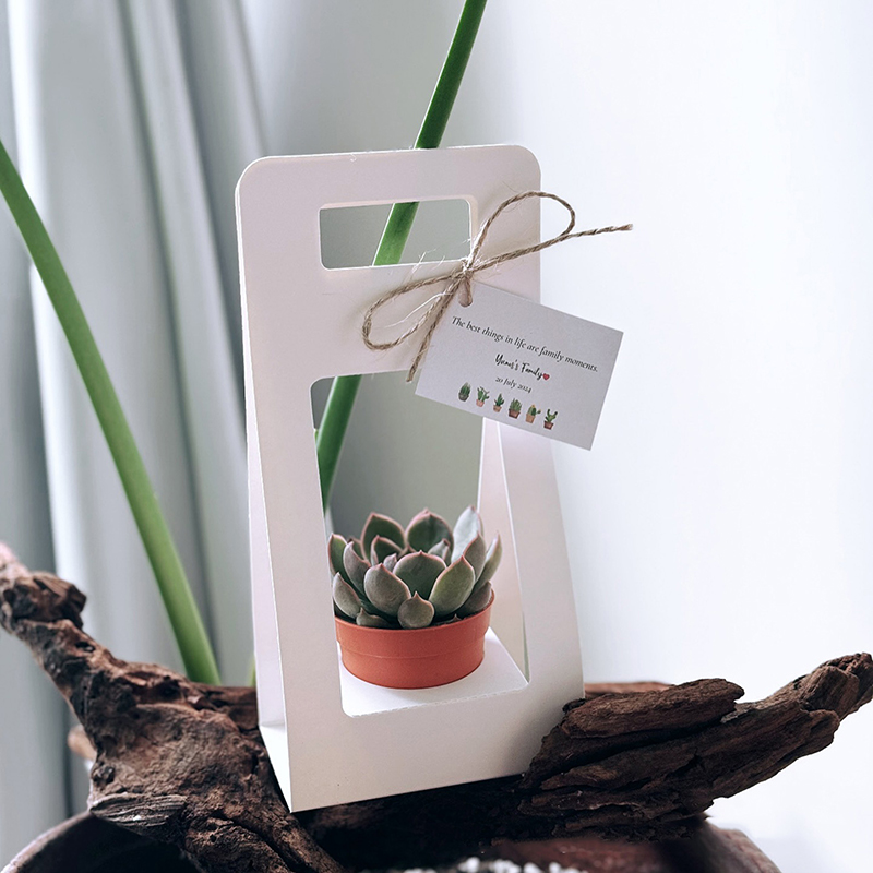 Новая двусторонняя водонепрони – обзор и цена Kraft Paper Box