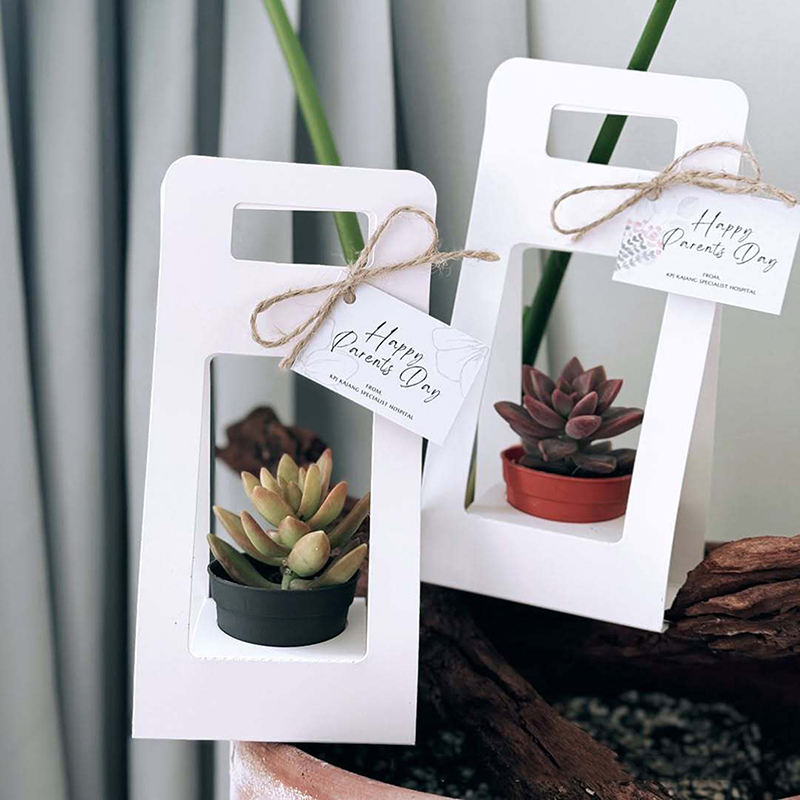 Новая двусторонняя водонепрони – обзор и цена Kraft Paper Box